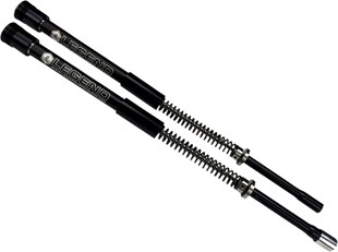 LEGEND AXEO FORK SPRINGS STANDARD 49M KOD:04140546