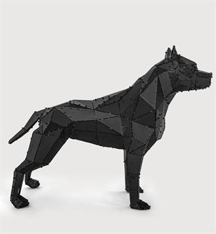 Pitbull Siyah
