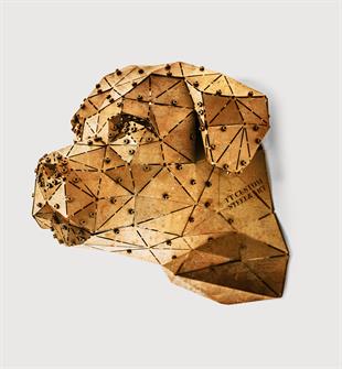 Rot Head Gold
