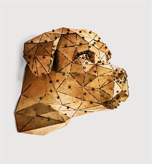 Rot Head Gold