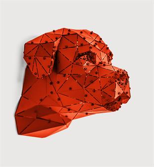 Rot Head Kırmızı