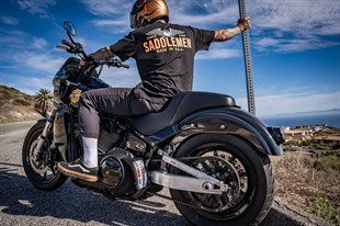 SADDLEMEN REAR FENDER - CARBON FIBER -M8 KOD:14011102