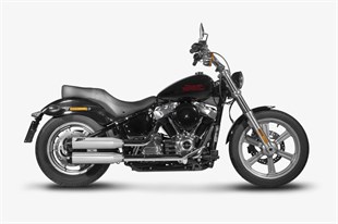 ZARD SOFTAIL SLIP-ONS E4/E5 POLISHE EGZOZ KOD: 18011820