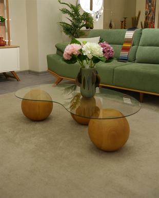 FASULYA CAM ORTA SEHPA 