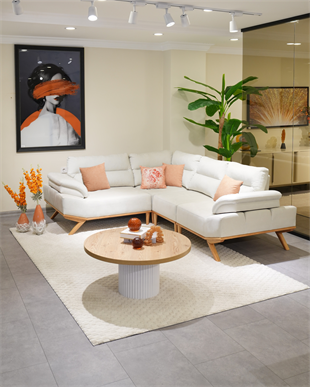 Paris Modüler Köşe 250/215 cm