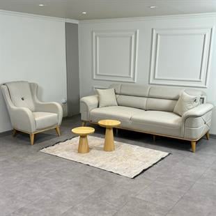 Platin Koltuk Takımı