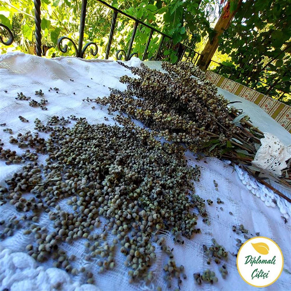  Hayıt (Kadın Otu) Tohumu - (250gr) Bildidee 