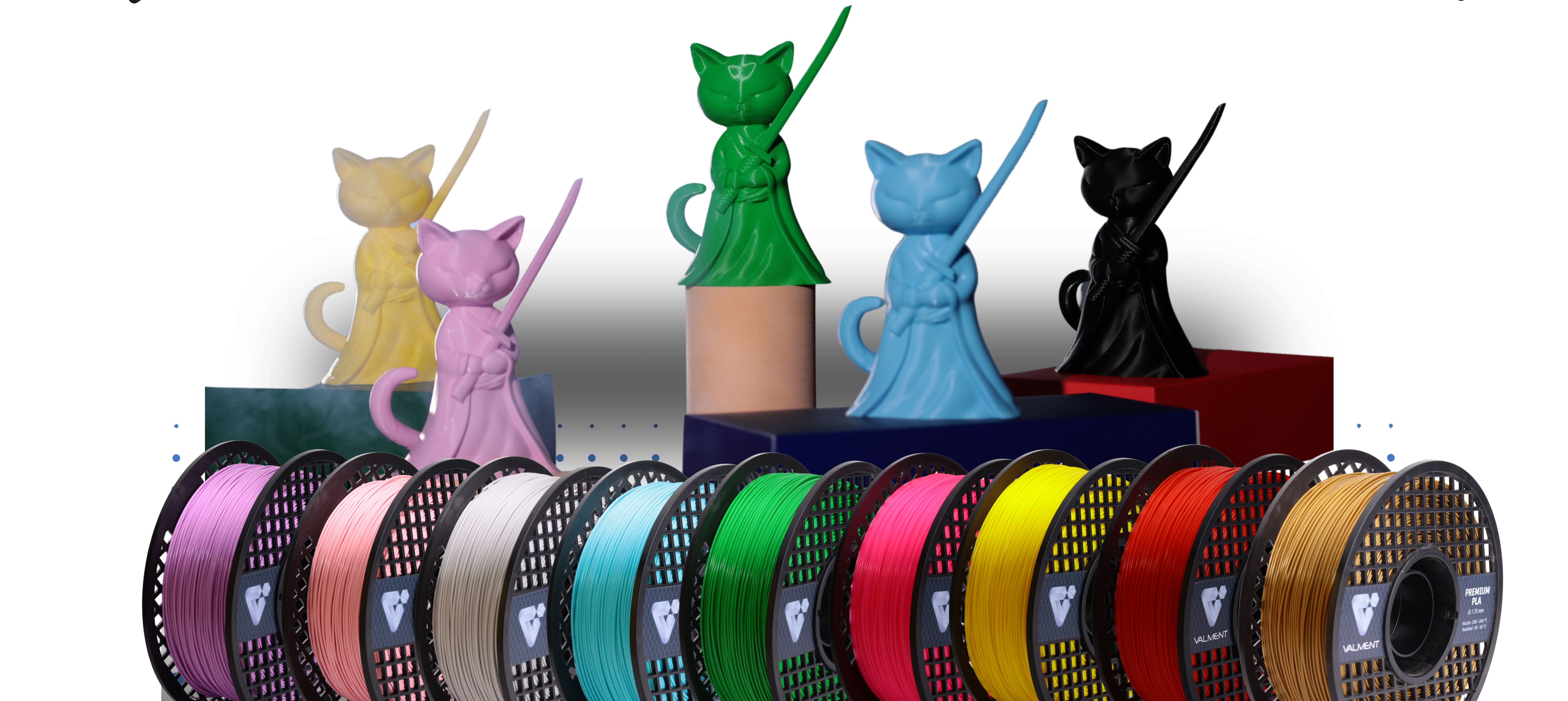 Valment Samuray Kittens