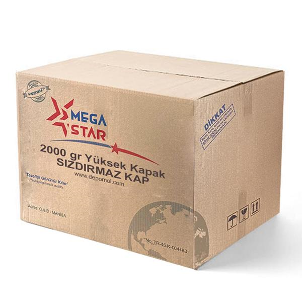 MEGA STAR SIZDIRMAZ KASE 1000 GR V07/E - 100 LÜ 8 PAKET (800 ADET)