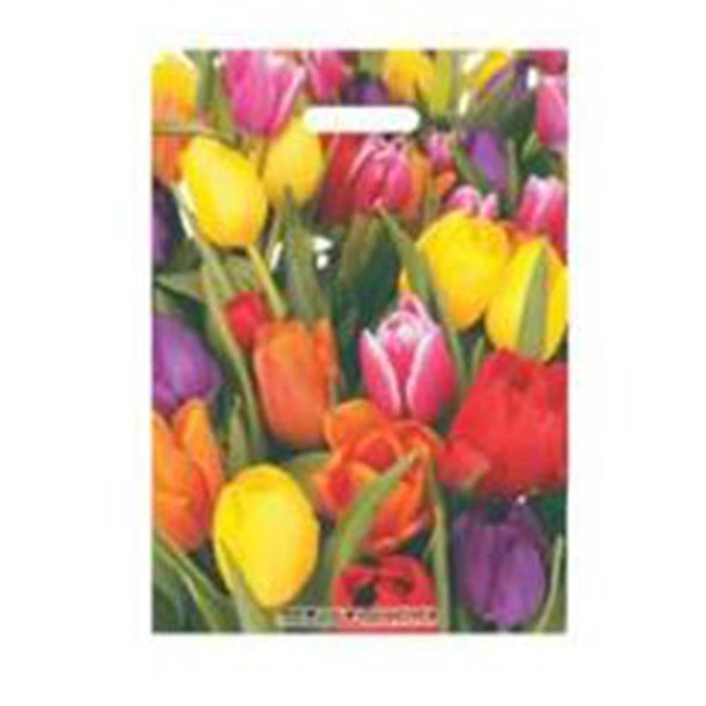 TAKVİYELİ POŞET LALE 50 ADET NO:4 (40X50 cm)