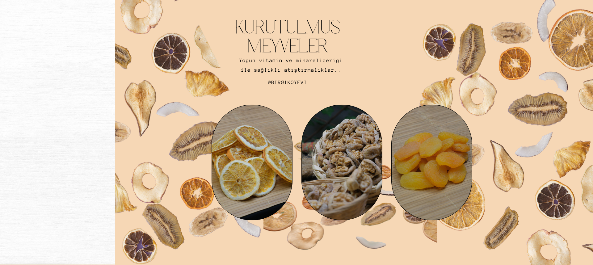 KURUTULMUŞ MEYVELER