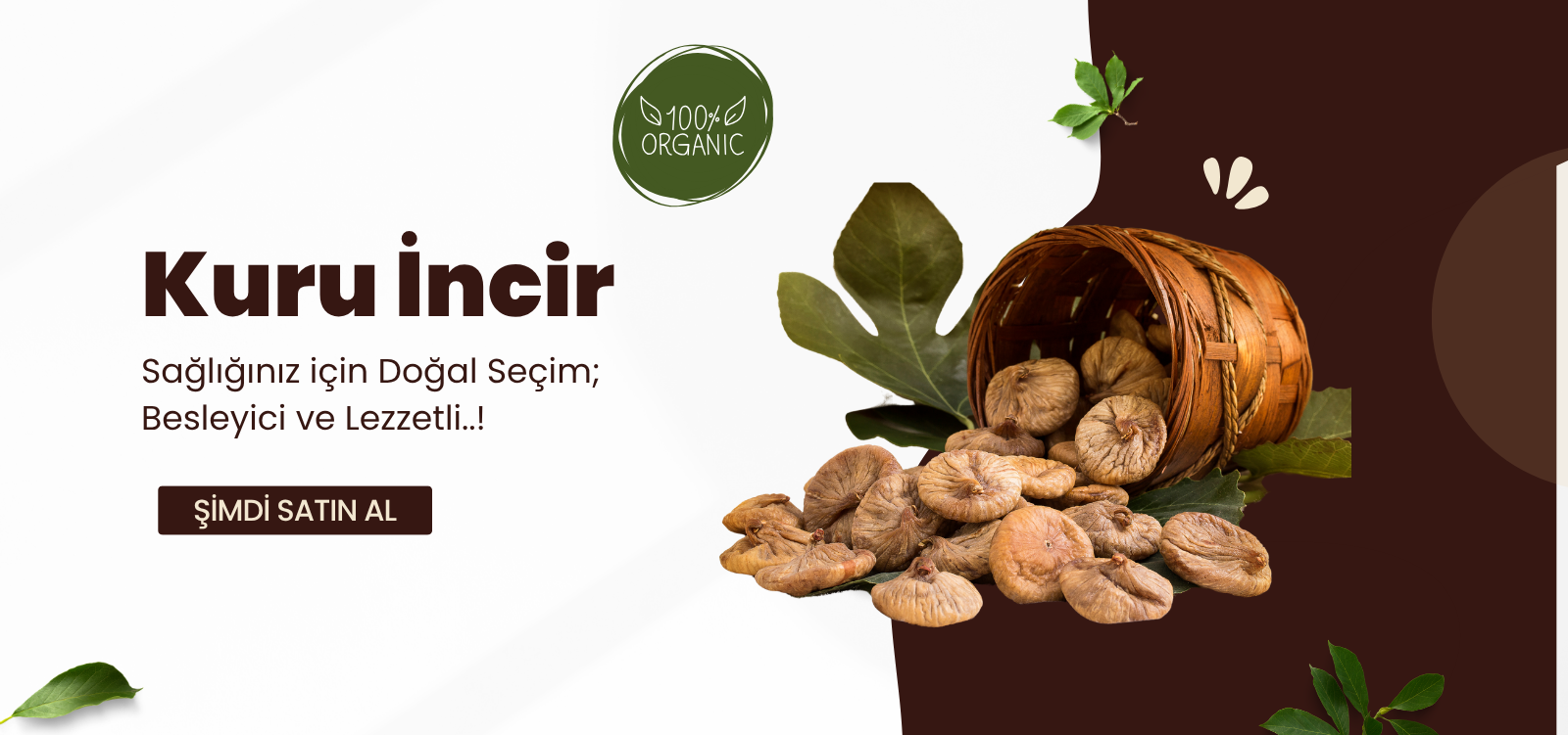 ORGANİK KURU İNCİR
