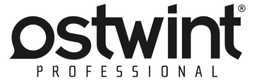 Ostwint