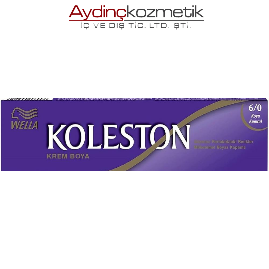 Koleston Tüp 6/0 Dark Blonge