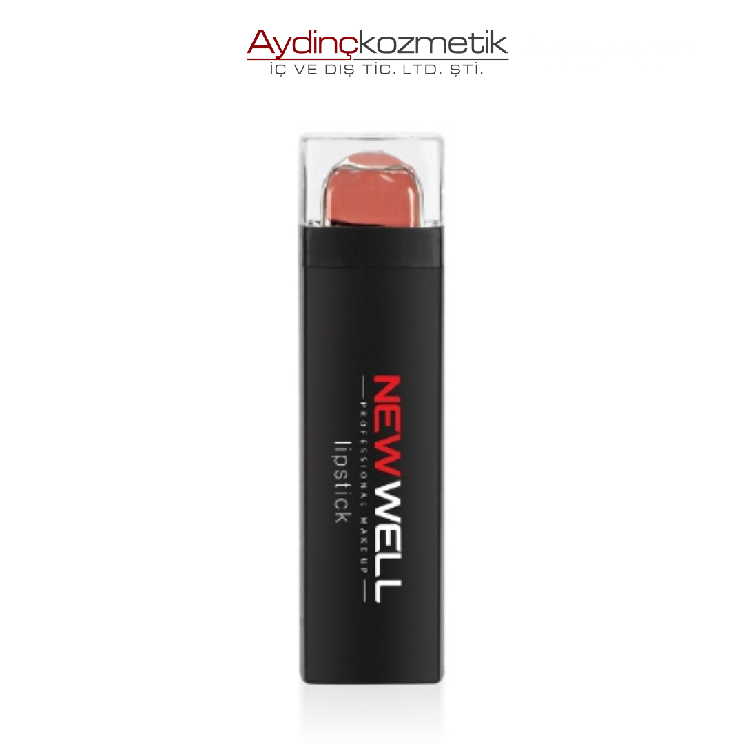 New Well Matte Lipstick 02