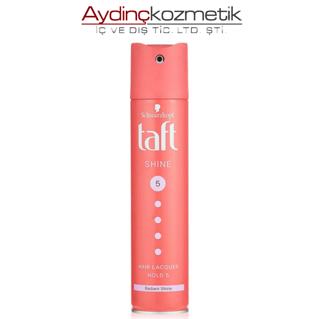 Taft Saç Spr 250ml Shine