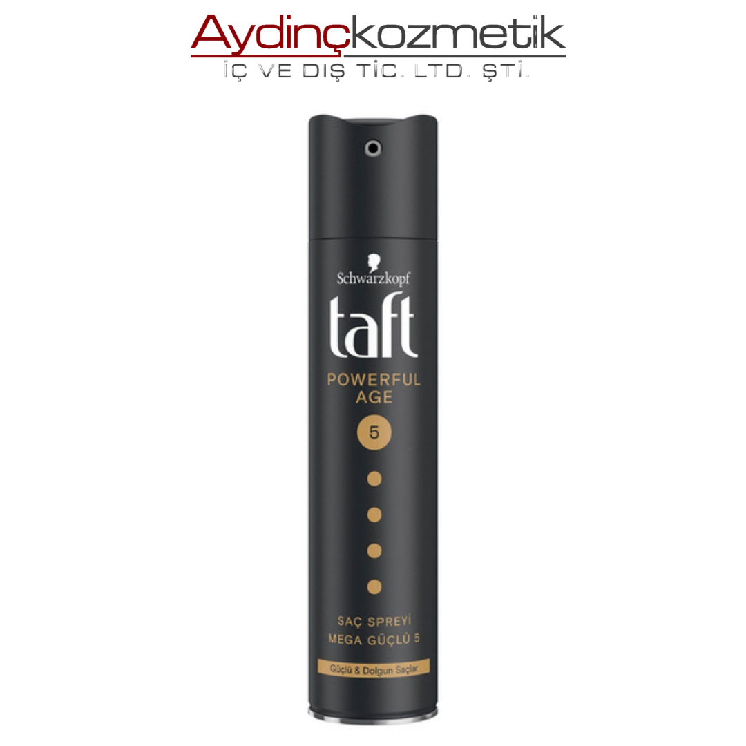 Taft Saç Spreyi 250ml Power Full Age No5