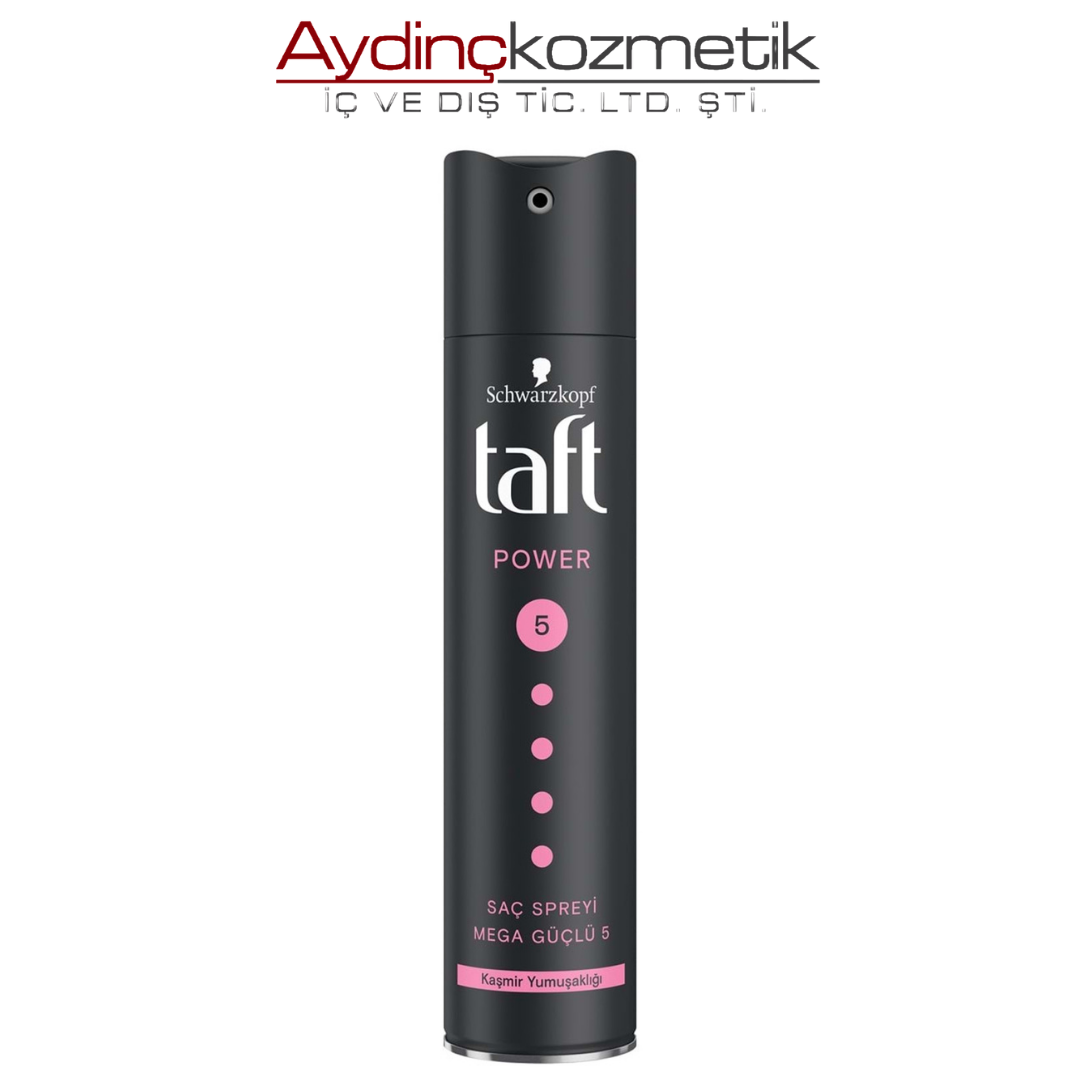 Taft Saç Spreyi 250ml Power Mega No5