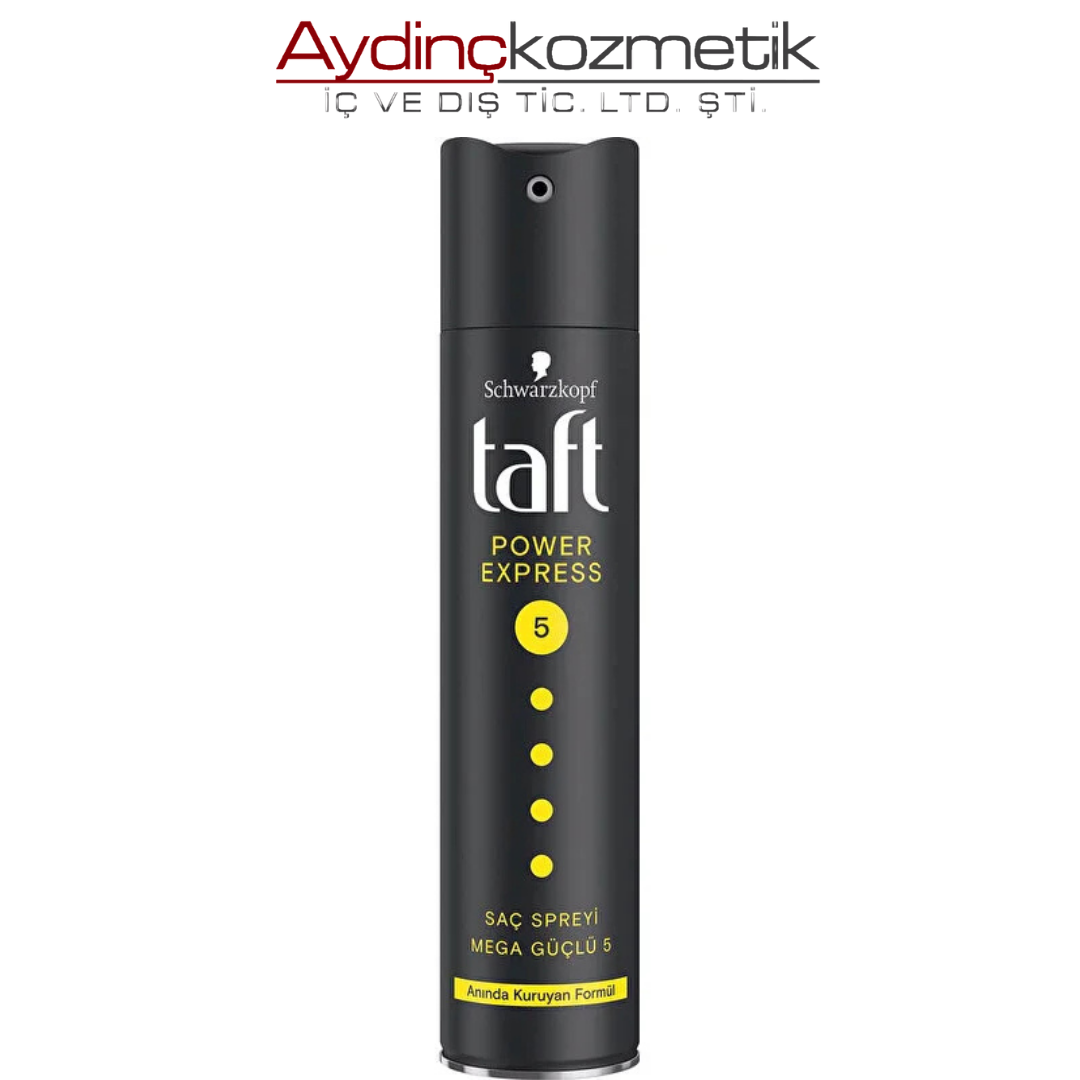 Taft Saç Spreyi 250ml Power Xprs.no5