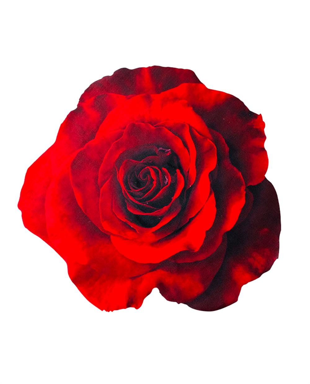 Red Rose Print Placemat