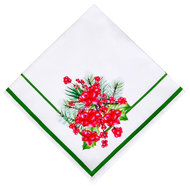 2'li Kokkina Baskı Yemek Peçetesi