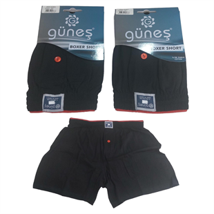 2Lİ PAMUKLU BOL KESİM BOXER