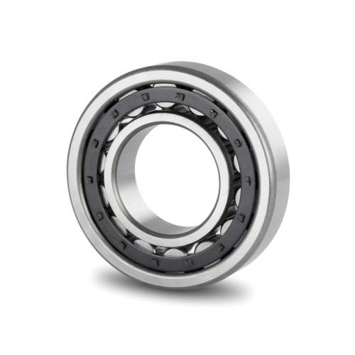 RULMAN NU 216 E (80X140X26) URB