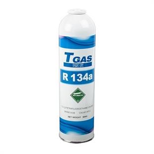 GAZ R134A 800GR T-GAZ