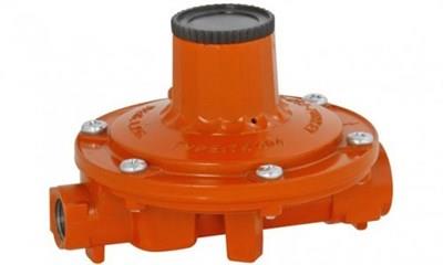 DEDANTÖR ALTINBOĞA 4 KĞ