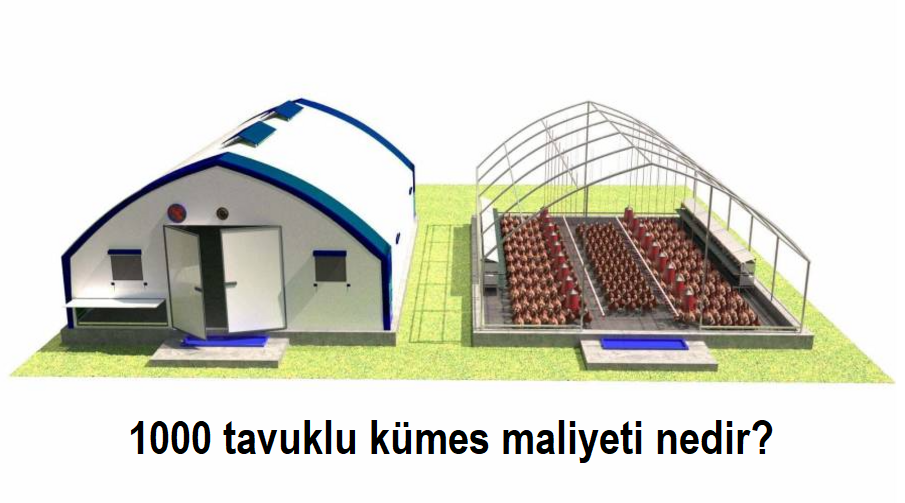 1000 tavuklu kümes maliyeti nedir?