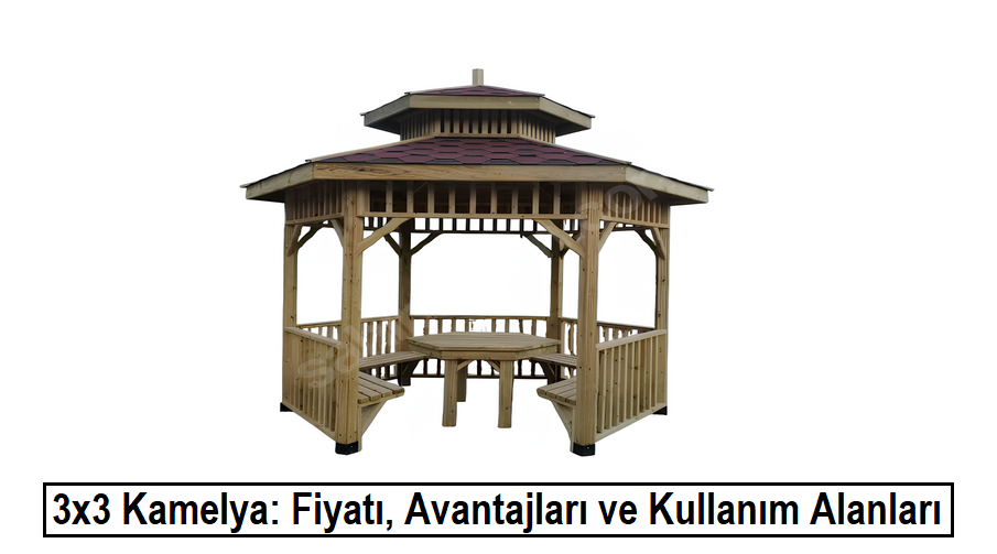 3x3 Kamelya: Fiyatı, Avantajları ve Kullanım Alanları