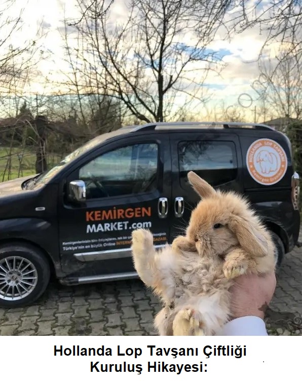 Hollanda Lop Tavşanı Çiftliği Kuruluş Hikayesi: