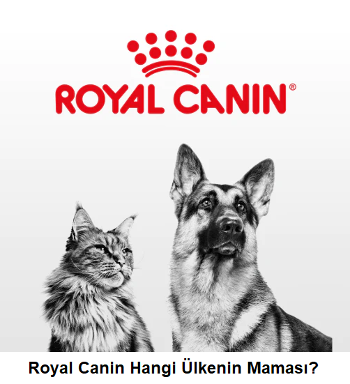 Royal Canin Hangi Ülkenin Maması?