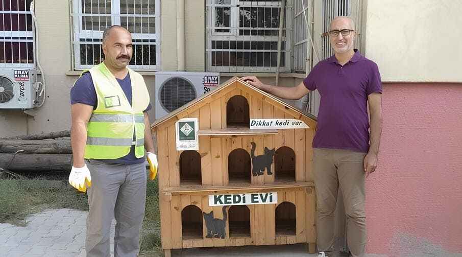 Sokak Kedileri İçin Dış Mekan Kedi Kulübesi Üretimi
