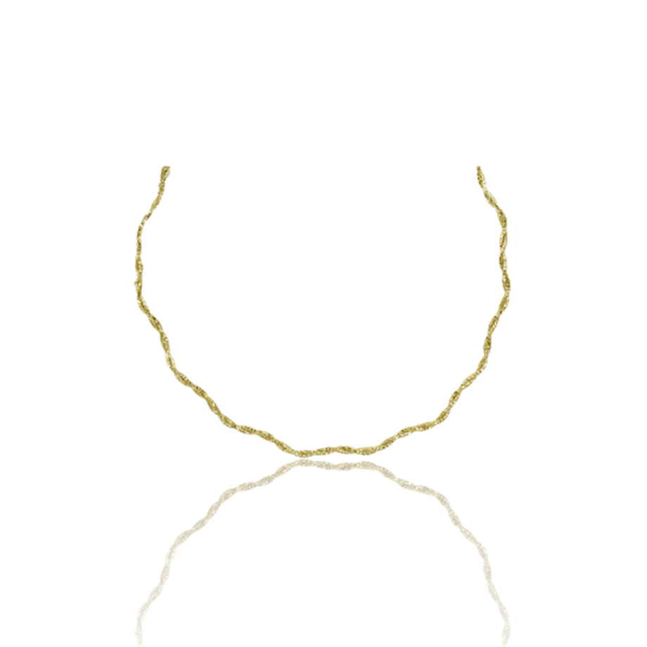 PaizGold Burgu Kolye