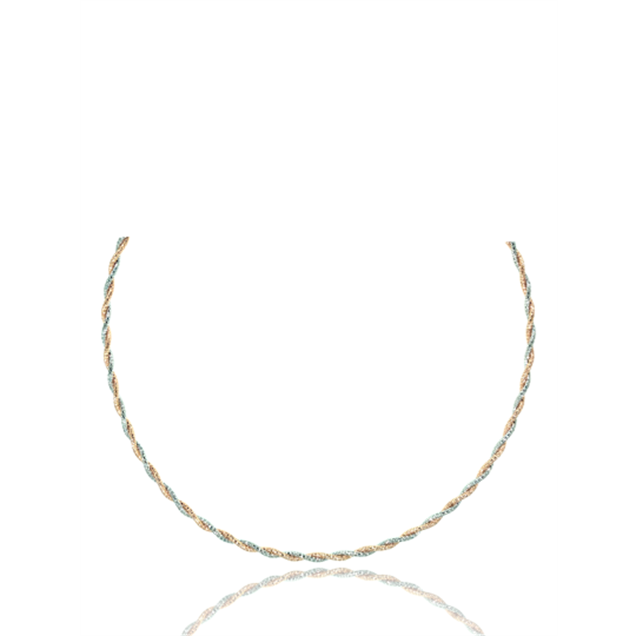 PaizSilver Rose Burgu Kolye 