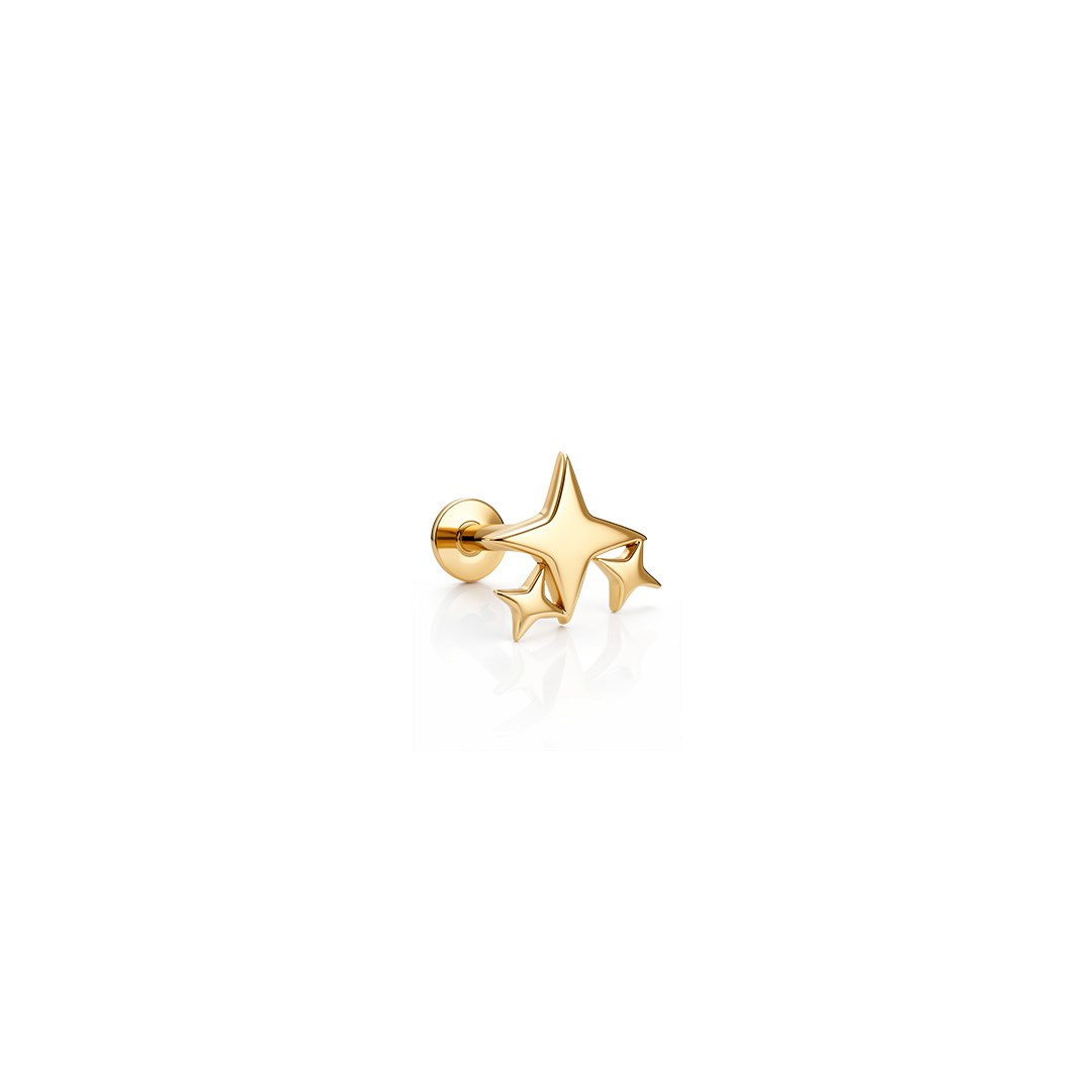 Paiz14 K ALTIN PİERCİNG