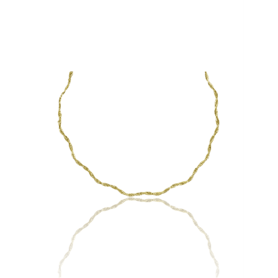 PaizGold Burgu Kolye
