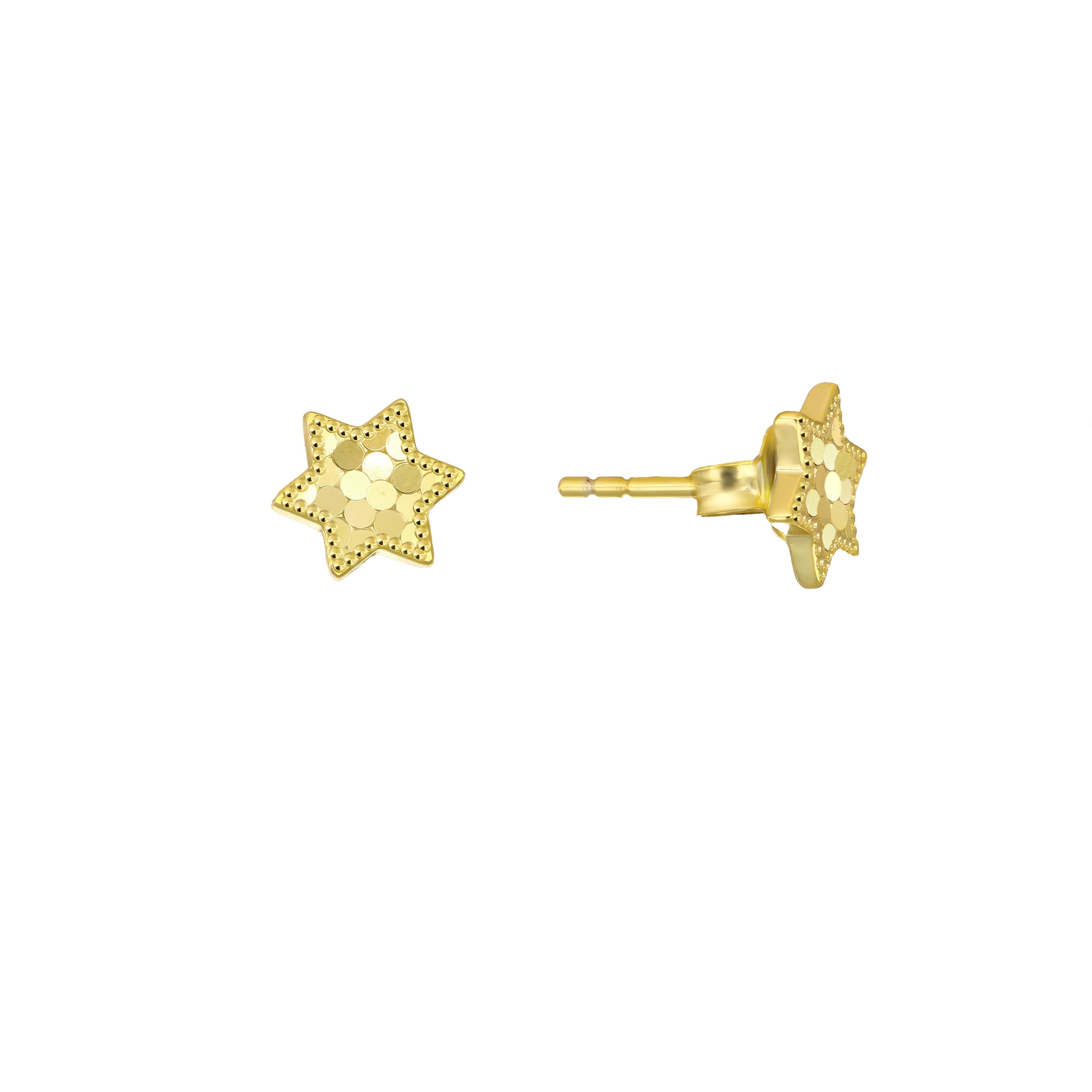 PaizGold Yıldız Küpe 