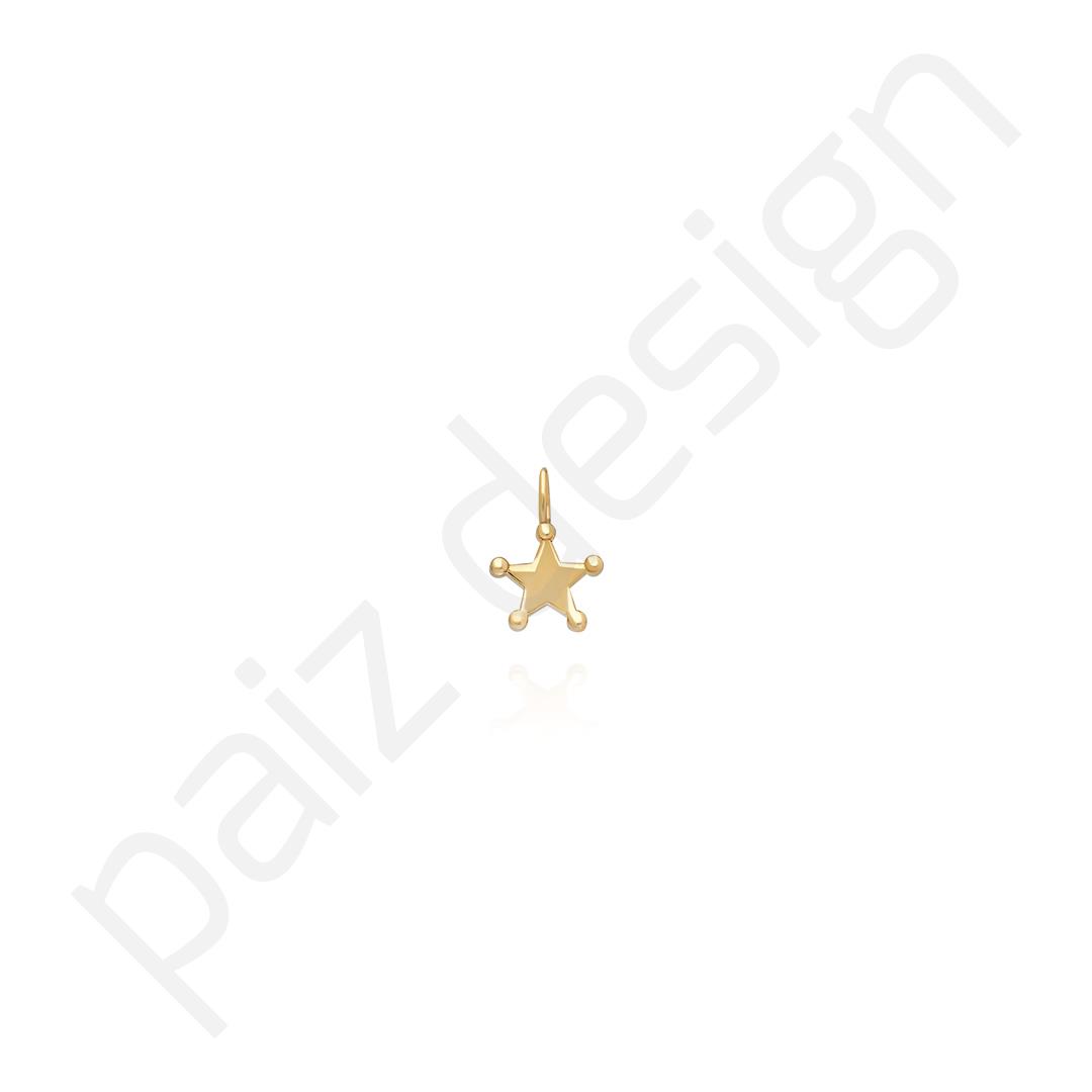PaizRosette Charm
