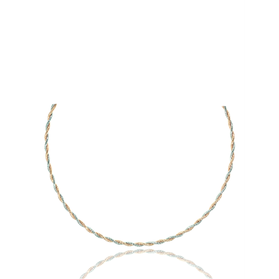 PaizSilver Rose Burgu Kolye 