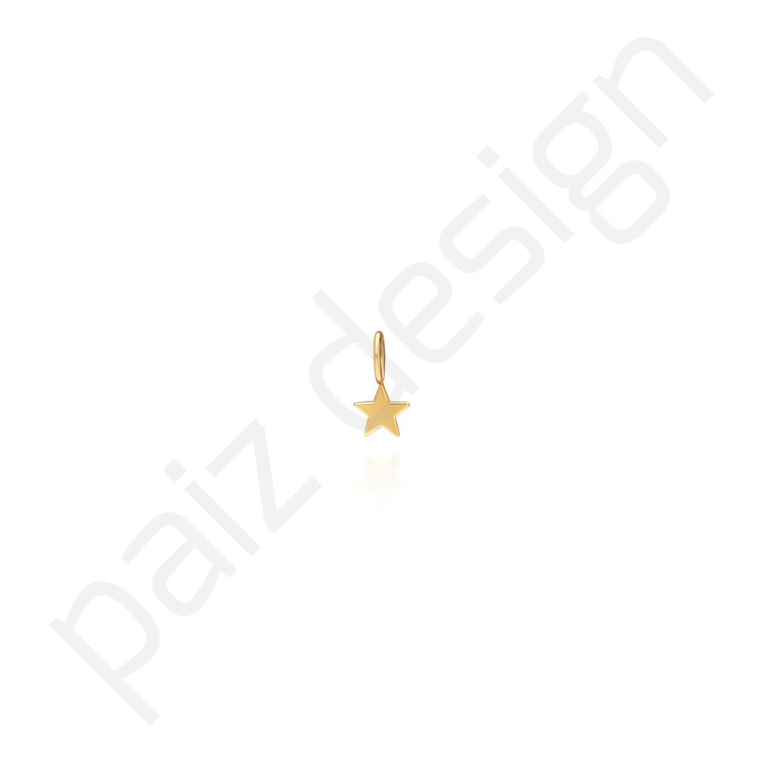 PaizStar Charm 