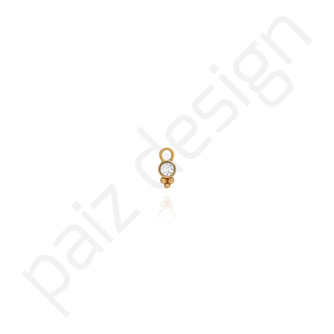 PaizTiny Charm 