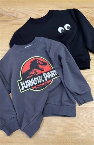 C2567 BASKILI ŞARDONLU SWEAT 