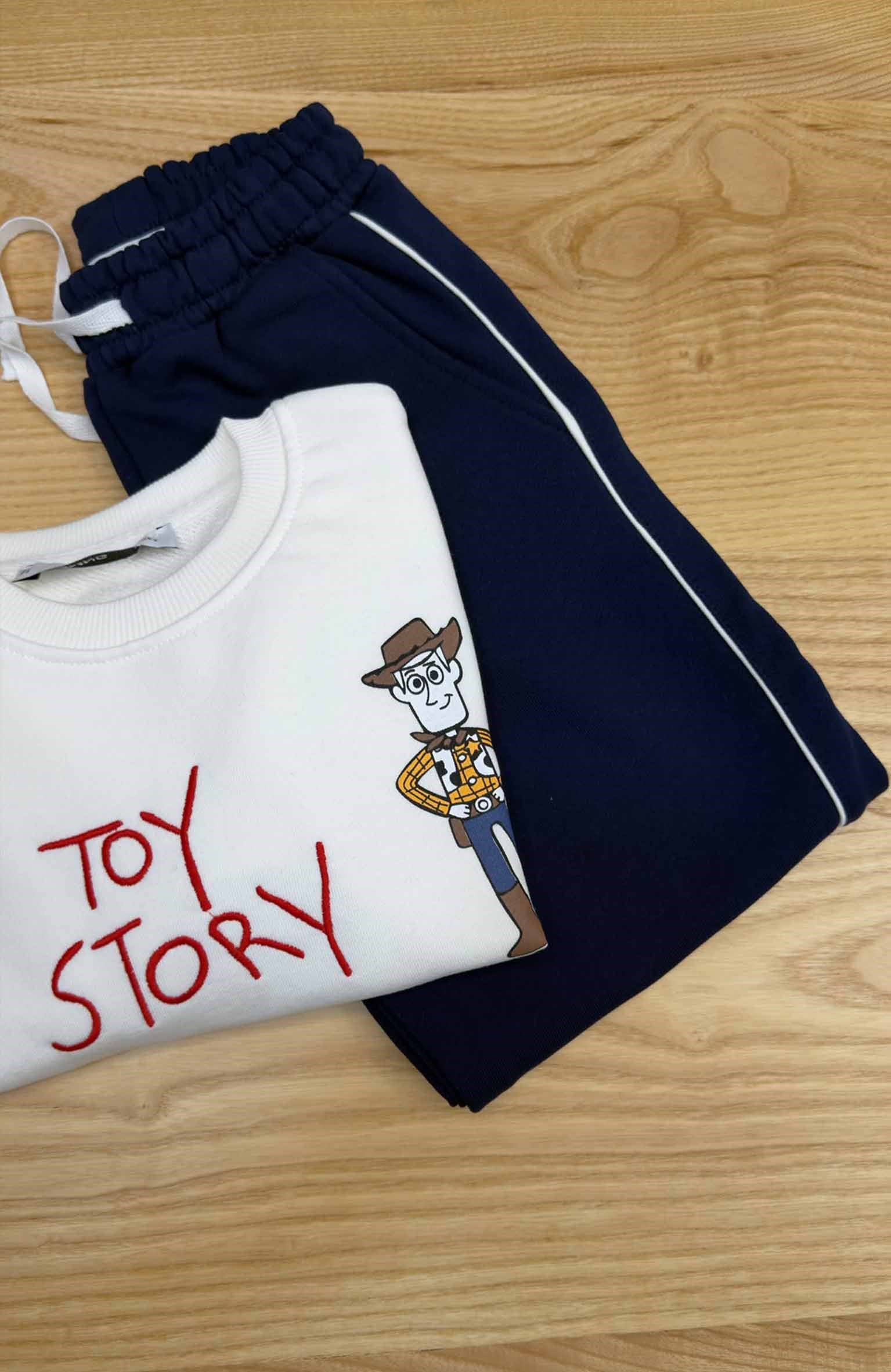 C2821 TOY STORY BASKILI TAKIM