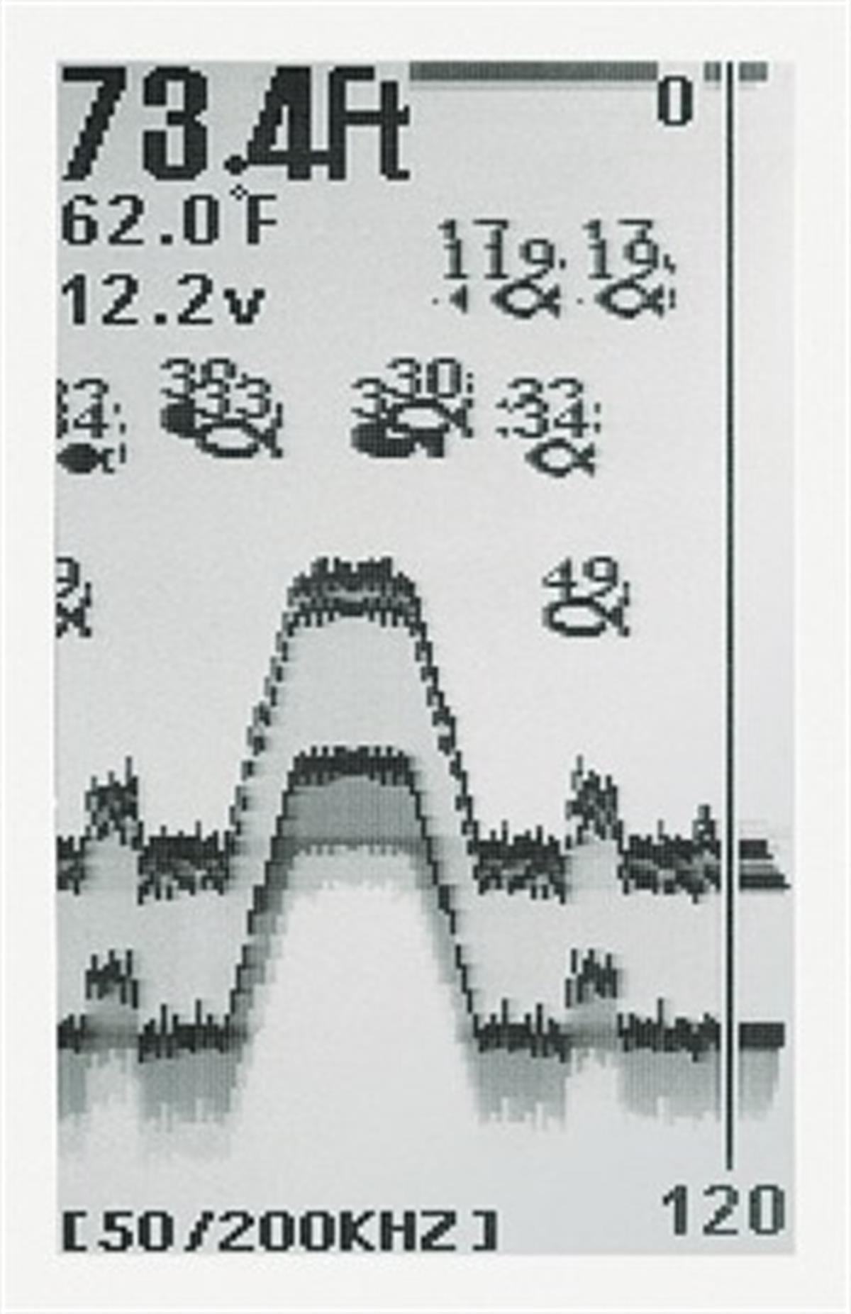 Condor 245 DF Balık Bulucu