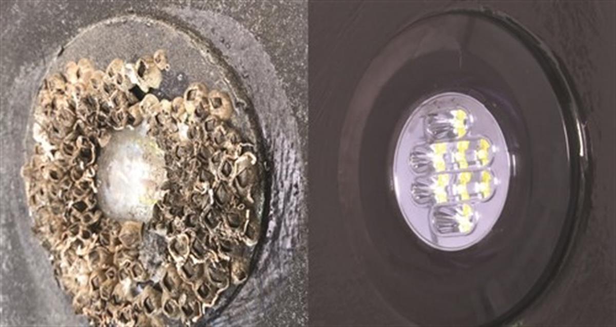 Lightspeed Sualtı Aydınlatma Koruyucu Kit 15Ml