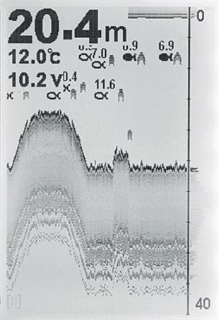 Condor 325 DF Balık Bulucu Türkçe Menü