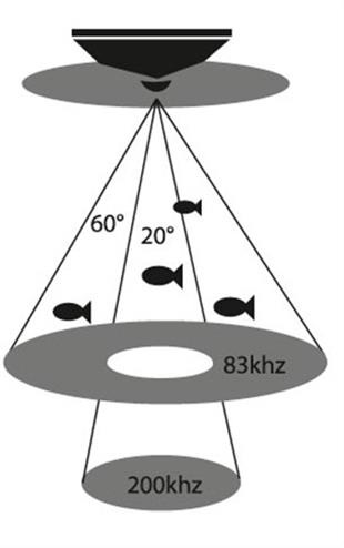 Condor Sonar 345C-DF Renkli Balık Bulucu