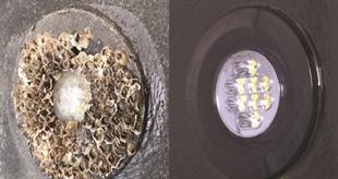 Lightspeed sualtı aydınlatma koruyucu kit - 15ml